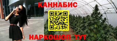 mdpv Заводоуковск