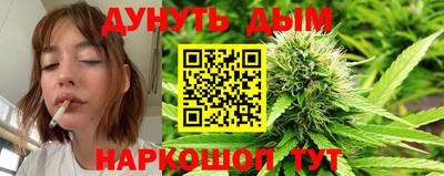 mdpv Заводоуковск