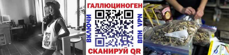 купить наркотики цена  Нефтекумск  Галлюциногенные грибы Psilocybe 