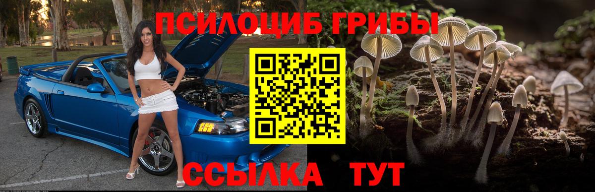 что такое   Галлюциногенные грибы Magic Shrooms  Вход с VPN  Галлюциногенные грибы мухоморы  Нефтекумск 